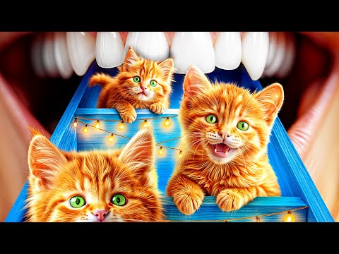 Видео: Мы строим секретную комнату! Двухэтажная кровать для домашних животных!