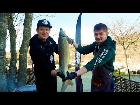 Видео: Уха из петуха и шашлык из осетра