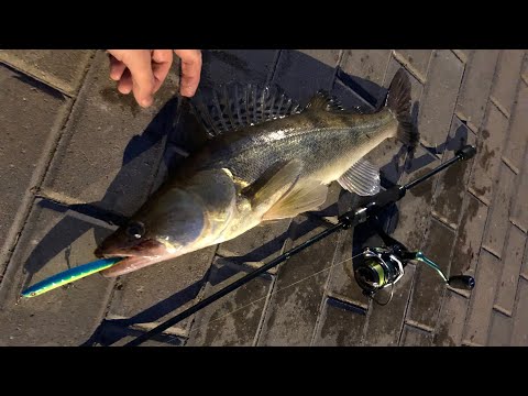 Видео: ЛУЧШИЕ ВОБЛЕРЫ НА СУДАКА