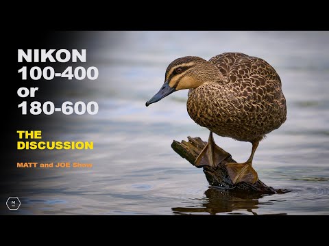 Видео: NIKON Z 100-400 или 180-600 | Что выбрать? | Обсуждение с Мэттом и Джо | Мэтт Ирвин