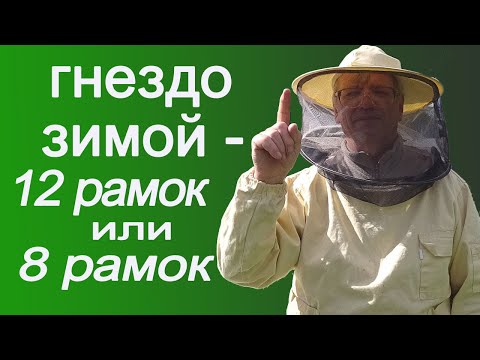 Видео: Сколько рамок в гнезде оставлять пчеловоду в зиму?