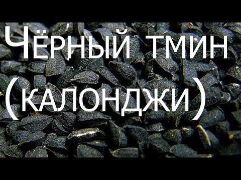 Видео: Калонджи. Чёрный тмин.