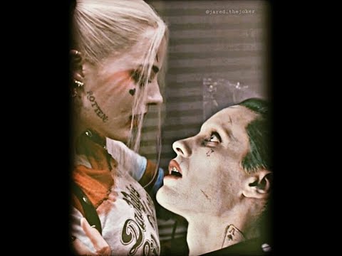 Видео: Harley & Joker | Ты снишься мне