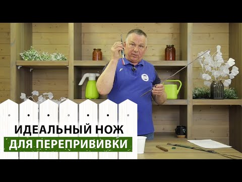 Видео: Как заточить нож для перепрививки деревьев? Секрет идеального среза в одном видео!