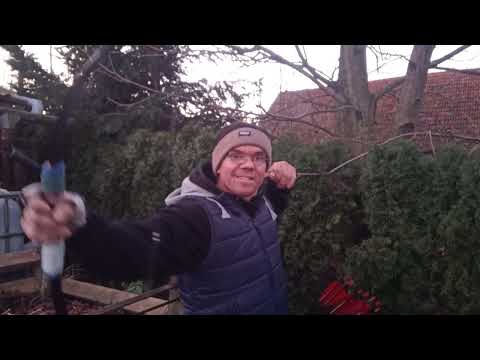 Видео: моя версия техника стрельбы с кольцом из лука.