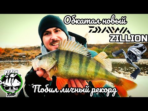 Видео: Большие окуни в центре города #РЫБАЛКА🎣🔥👍  #новокузнецк #томь #fishing #джиг #daiwa #zillion #PERCH