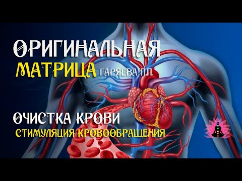 Видео: «Стимуляция кровообращения» ⚠️ Оригинальная матрица Гаряева П П  ☀️ SoftRadio ru