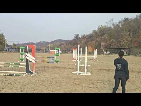 Видео: Учебная группа по конкуру КСК Харагун. Тренер МС Ибрагимова Ясмин. Алматы. 29.10.25