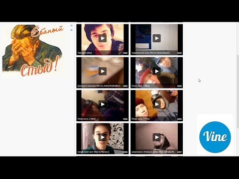 Видео: Vines - глубокая аналитика