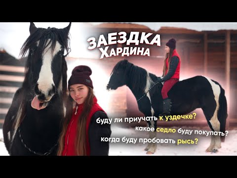 Видео: ЗАЕЗДКА моей лошади / Наши первые занятия