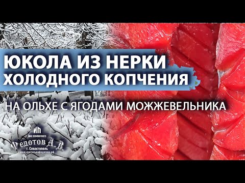 Видео: ЮКОЛА из НЕРКИ холодного копчения на Ольхе с ягодами Можжевельника.
