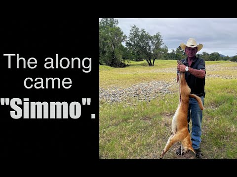 Видео: А потом появился «Симмо».
