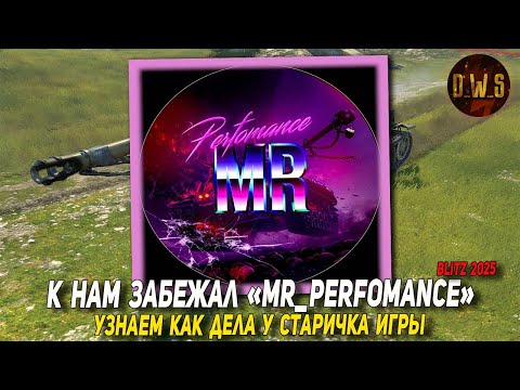 Видео: К нам забежал Mr_Perfomance в Tanks Blitz | D_W_S
