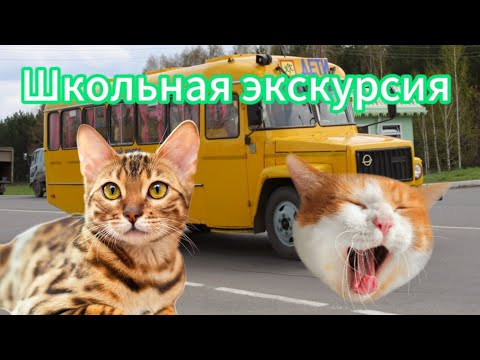 Видео: Школьная экскурсия (Целиком)