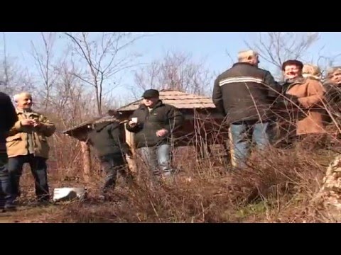 Видео: Зубовце втора емисија