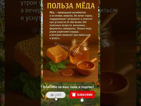 Видео: Польза мёда 🍯
