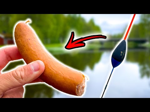 Видео: Ловля Поплавочной Снастью На КОЛБАСУ (НЕОЖИДАННЫЙ РЕЗУЛЬТАТ)| Team Galant