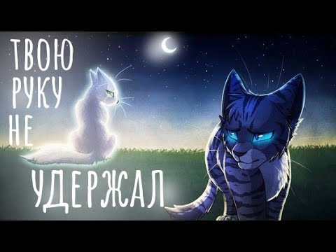 Видео: ЗАКАЗ: коты-воители Половинка Луны и Воробей. Твою руку не удержал ||Даниэла||