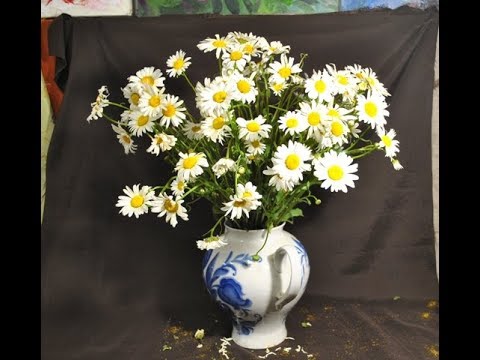 Видео: Картина маслом поэтапно "Букет полевых ромашек".Имприматура.Часть I
