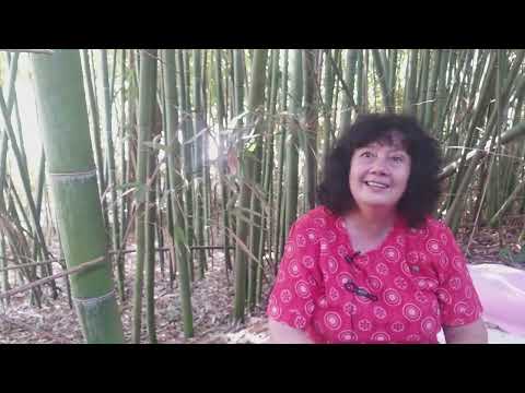 Видео: КАК ПОНЯТЬ - ЖЕЛАНИЕ ОТ СЕРДЦА, ИЛИ ОТ УМА