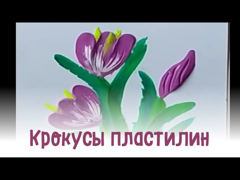 Видео: Работа пластилином для детей 4-5 лет Крокусы.