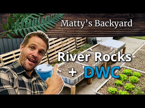 Видео: Как построить систему аквапоники: речные камни и DWC #аквапоника #аквапоническаясистема #какпостр...