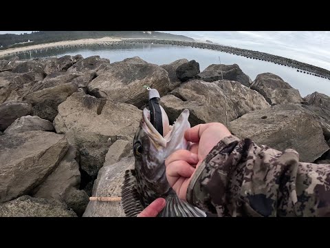 Видео: Невероятное количество рыбы ВНУТРИ причала! Карманная рыбалка