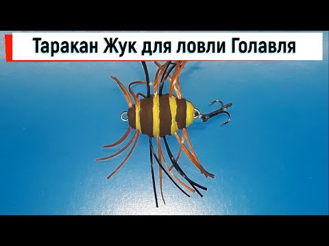 Видео: Таракан Жук для ловли Голавля