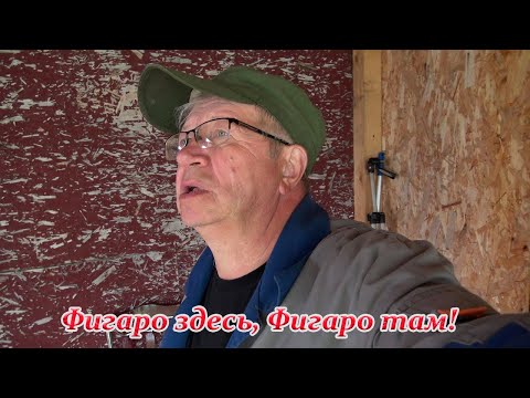 Видео: Фигаро здесь Фигаро там! Жена гоняет туда сюда. Надо все успеть. Она не за горами!