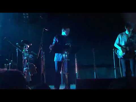 Видео: Дельфин - Свет для меня (Тюмень 26.10.2022)