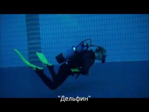 Видео: Обзор Пилотажа и Продвинутого Пилотажа в дайвинге.wmv