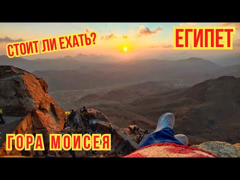 Видео: Египет 2024. Физически сложная экскурсия. Стоит ли ехать? Гора Моисея.
