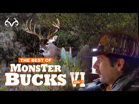 Видео: Охота на оленей 1998 года | Лучшее из Monster Bucks 6, том 1 | Классическая охота на белохвостого...