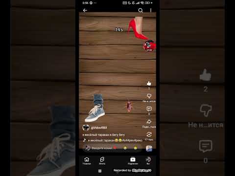 Видео: Обзор на канал моего друга.