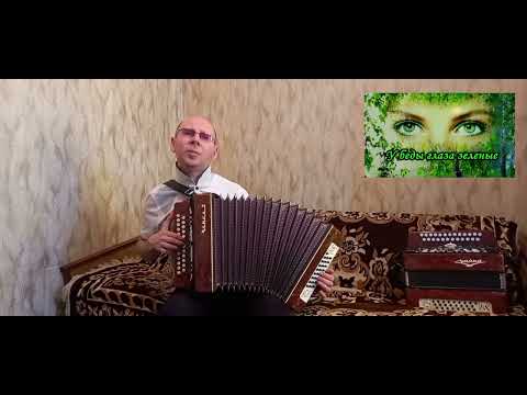 Видео: "У беды глаза зелёные".(Кавер-версия).Гармонь.