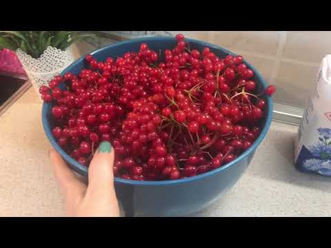 Видео: Калина с сахаром без варки на зиму.Безумно вкусное и полезное желе.