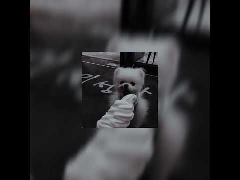 Видео: МакSим - Не отдам (speed up)