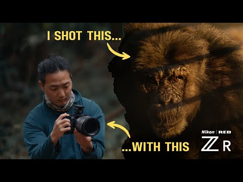Видео: Nikon ZR — это чит-код для таких любителей, как я | Мой реальный обзор