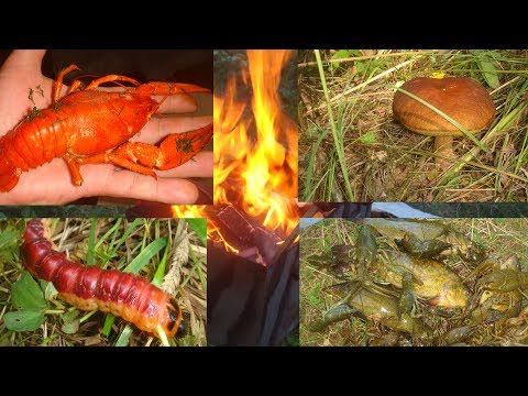 Видео: Десногорск, раки, рыба, удачное новое место.