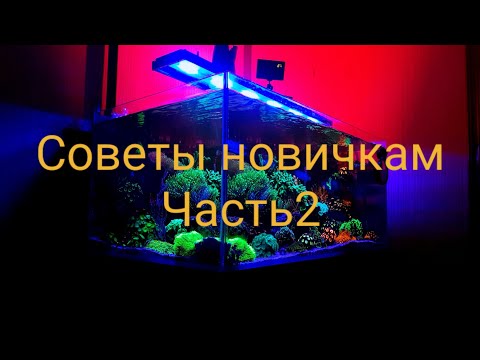 Видео: Советы новичкам. Часть 2 (оборудование)