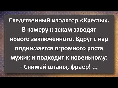 Видео: Фраер Попал в СИЗО Кресты и Мёртвый Летчик! Сборник Самых Свежих Анекдотов!