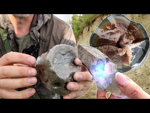 Видео: Сокровища УНДОРИИ | Палеонтология Ульяновской области. Ундоры.