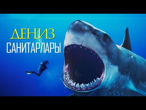 Видео: Деңизди тазалаган балык