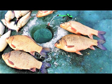 Видео: ВОТ ТАК ЛАПТИ аж ЛЕСКА ЗВЕНИТ!!!! Зимняя рыбалка на карася