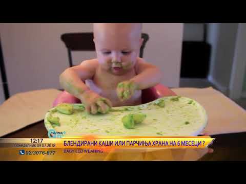Видео: 0м+ Блендирани кашички или парчиња храна на 6 месеци?