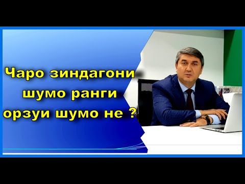 Видео: Кадом соҳаро барои худ интихоб мекунед? Саидмурод Давлатов