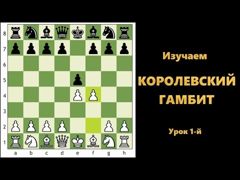 Видео: Королевский гамбит! Урок 1-й. #шахматы #chess #костенюк #kingsgambit #дебют #гамбит #gambit
