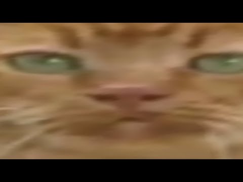 Видео: Сыркис 2 | RYTP