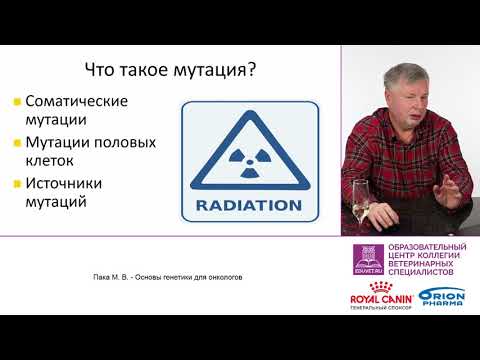 Видео: Пака М. В. - Основы генетики для онкологов