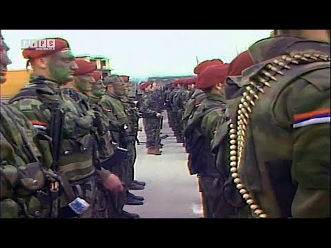 Видео: ВУКОВИ СА ДРИНЕ - 30 година поноса и славе